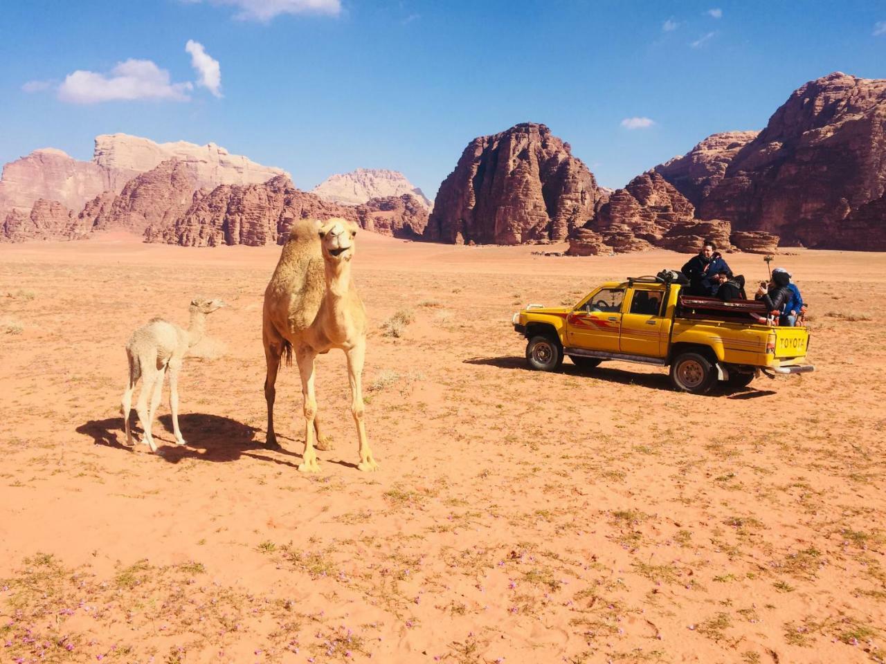 Friend Wadi Rum Luaran gambar